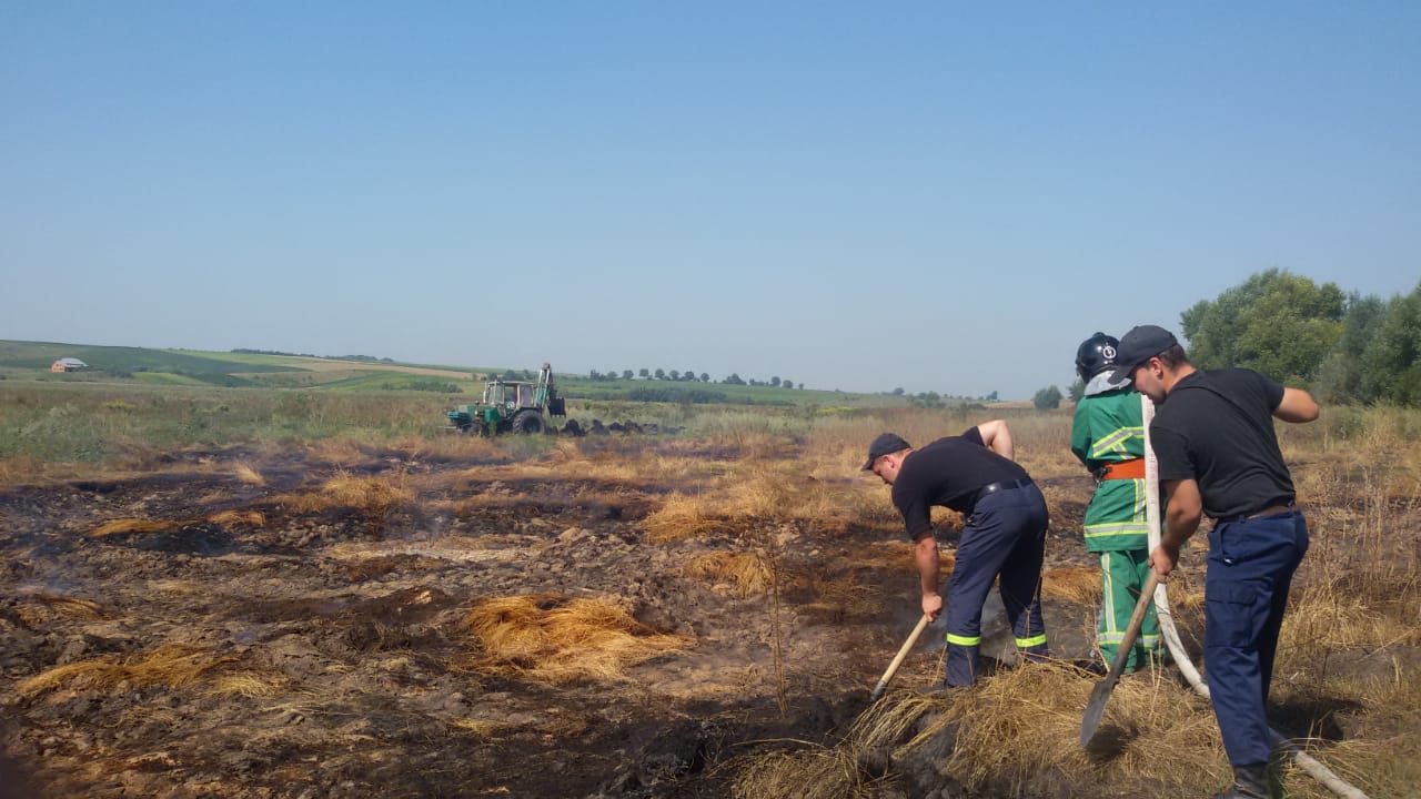 Минулої доби на Прикарпатті виникло 16 пожеж, з них 14 – сухої трави
