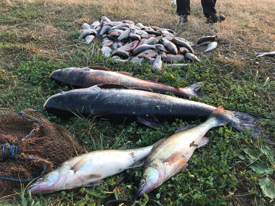 На Бурштинському “морі” спіймали браконьєрів, які виловили понад 80 кг риби (ФОТО)
