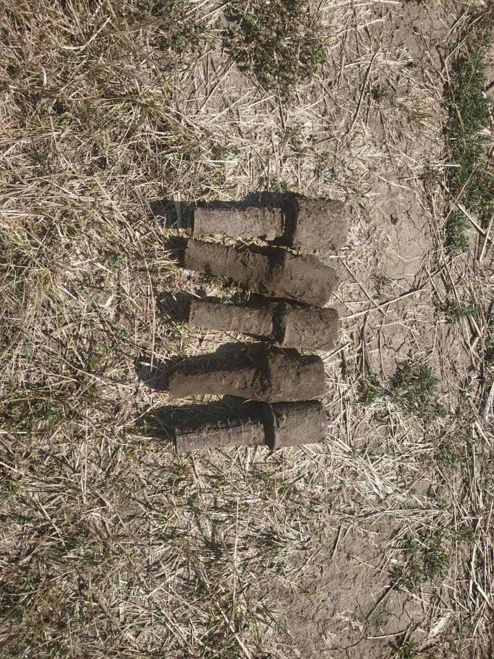 Вибухівка на городі: прикарпатець знайшов 5 гранат під час збору урожаю (ФОТО)