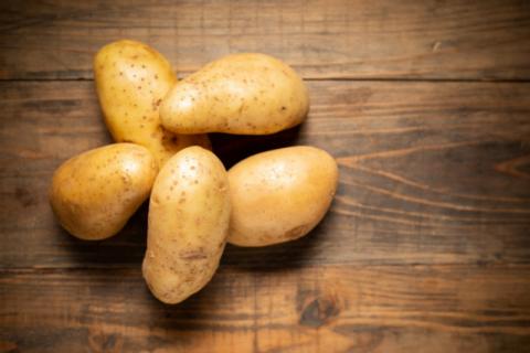 Цьогоріч на Прикарпатті неврожай картоплі. В ОДА запевняють – людям вистачить (ВІДЕО)