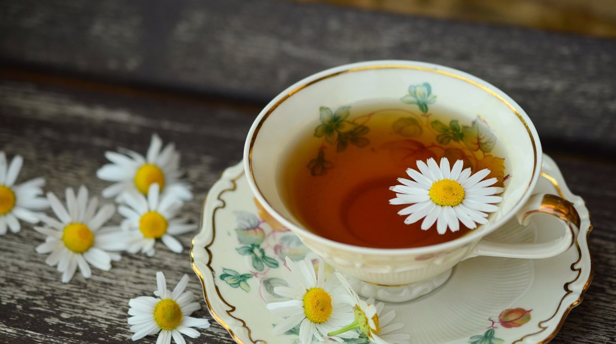 Галка рекомендує: кому і чому варто часто пити ромашковий чай