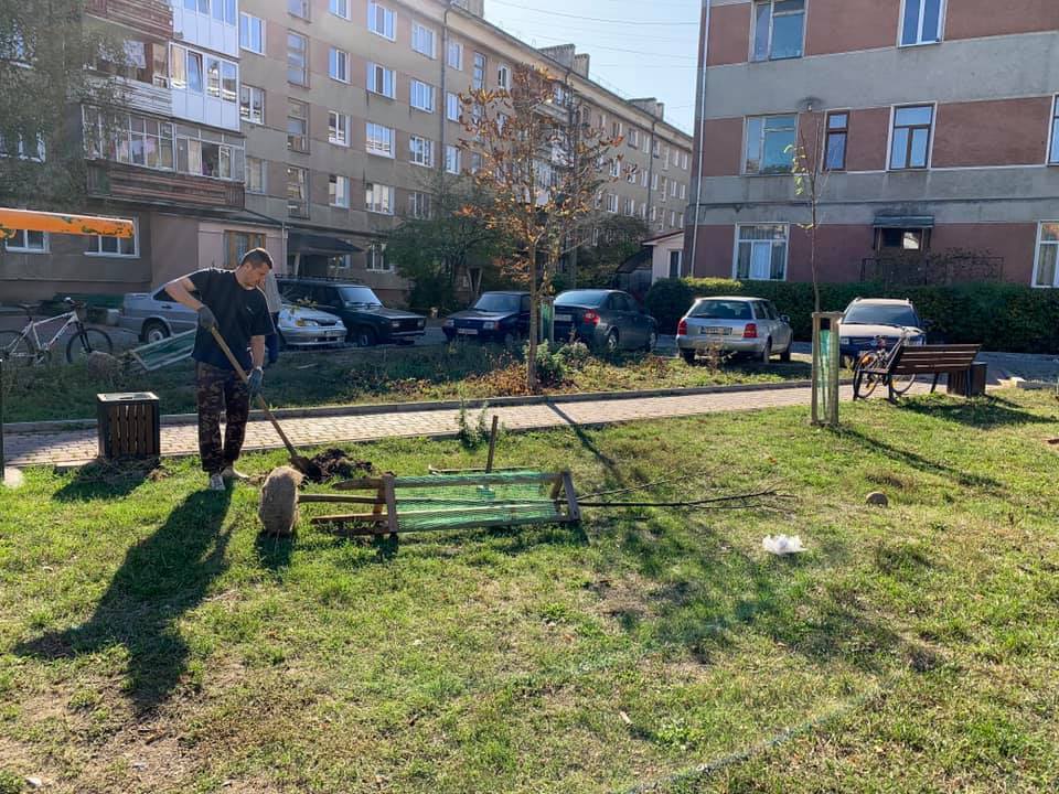 У місті висадять 160 нових дерев замість тих, що не прижилися (ФОТО)