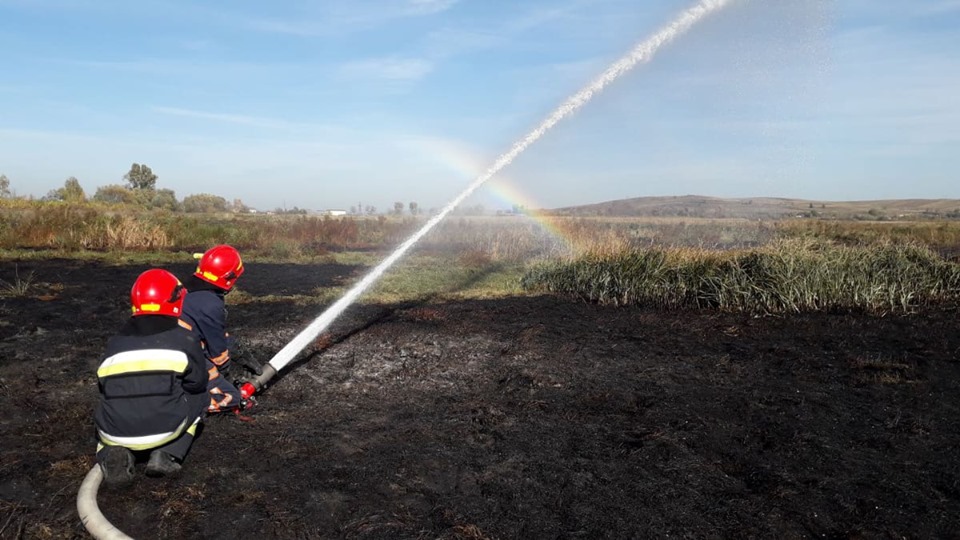 На Прикарпатті дванадцять рятувальників ліквідовували торф’яну пожежу (ВІДЕО)