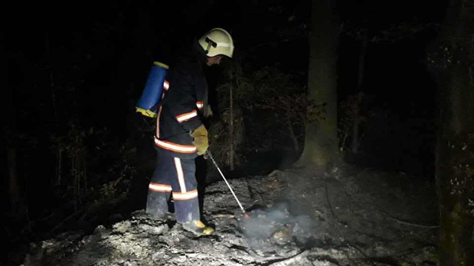 На Косівщині рятувальники і місцеві мешканці шість годин гасили суху траву в лісі (ФОТО)