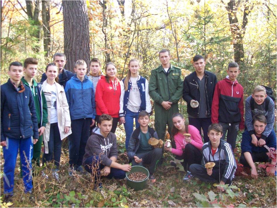 Школярі допомогли лісівникам зібрати 100 кілограм жолудів (ФОТО)