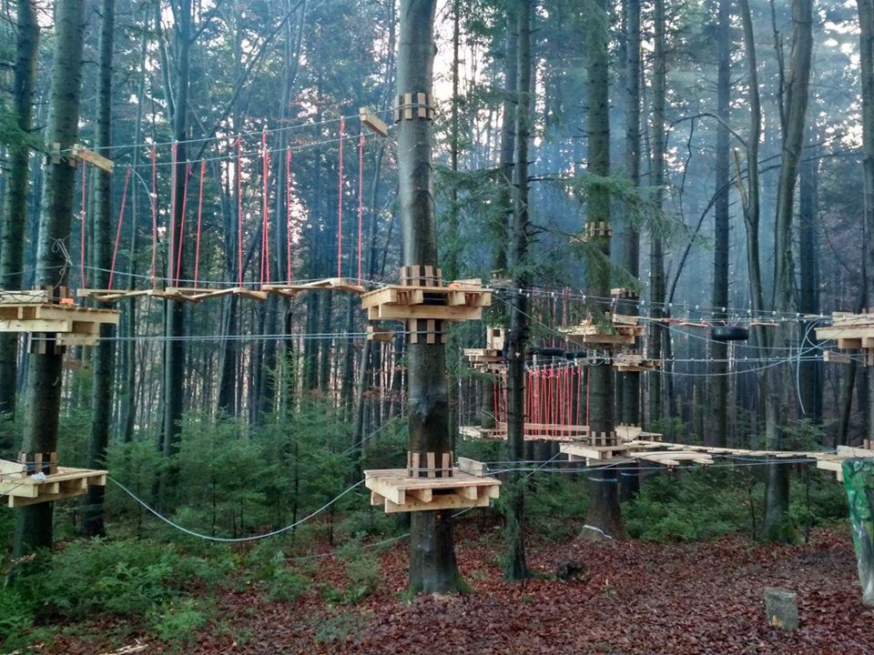 В одному з лісгоспів області встановлюють мотузковий парк для дітей (ФОТО)