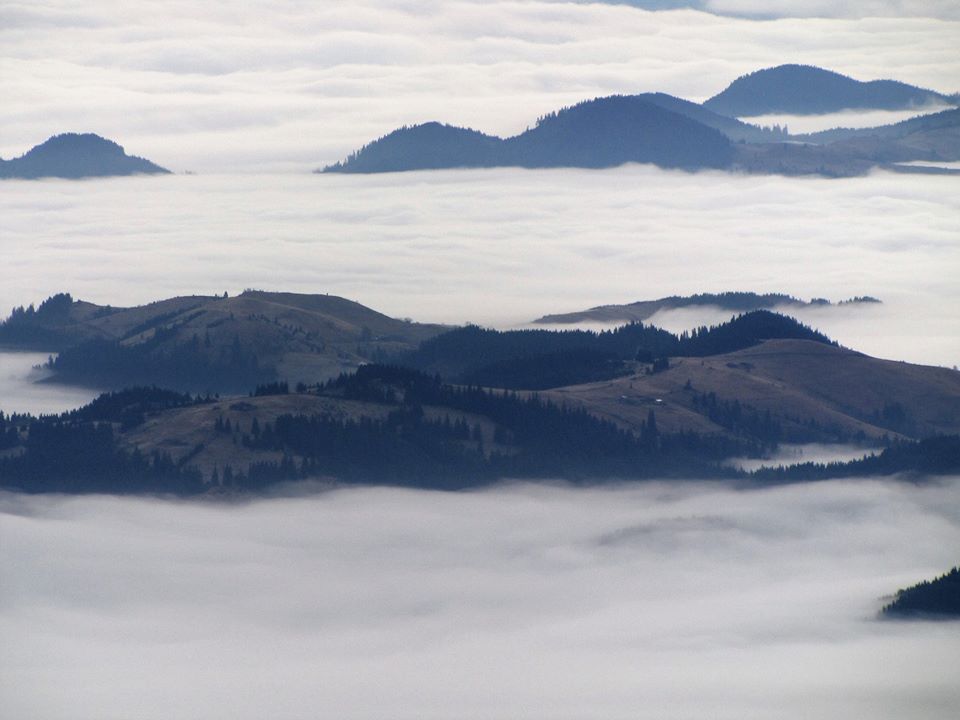 У мережі опублікували неймовірні фото долин, вкритих туманами (ФОТО)
