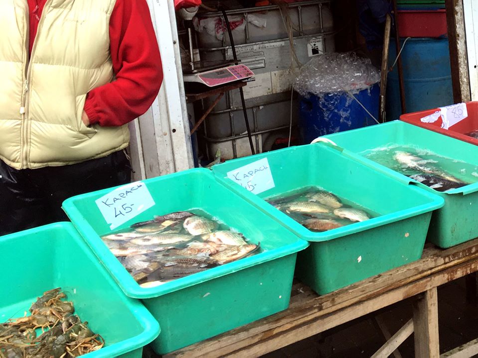 У Калуші чоловік продавав рибу і раків без документів (ФОТО)