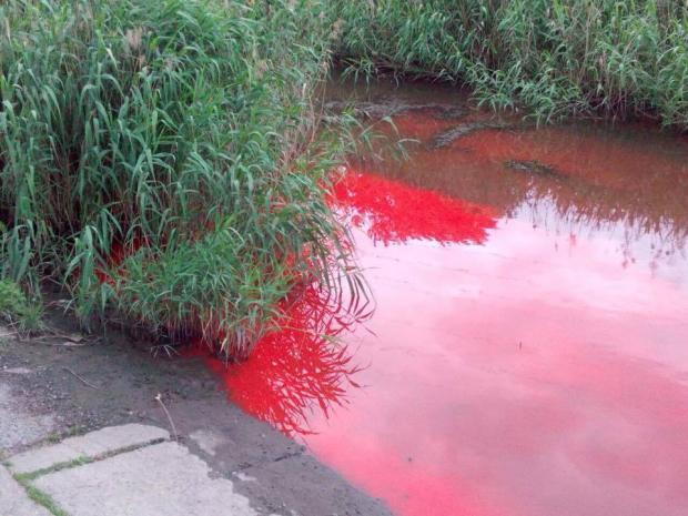 У Калуші почервоніла річка – спецкомісія шукала джерело забруднення