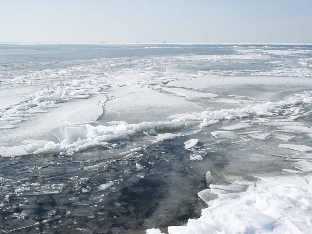 У Коломиї чоловік намагався скоїти самогубство на міському озері