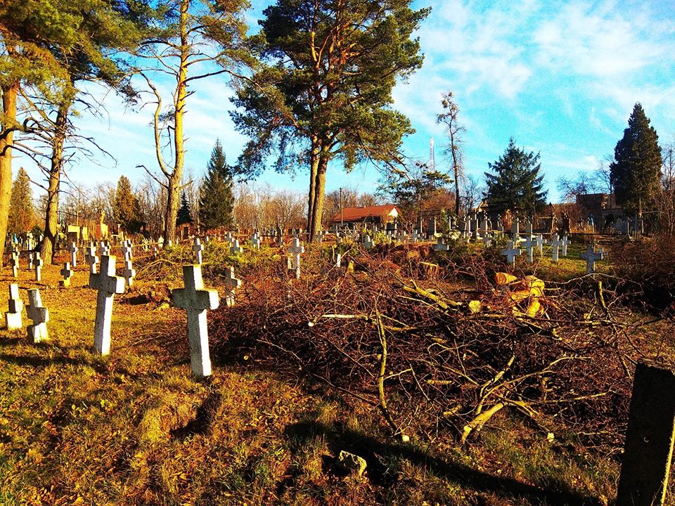 У Галичі впорядковують військове кладовище часів Першої світової (ФОТО)