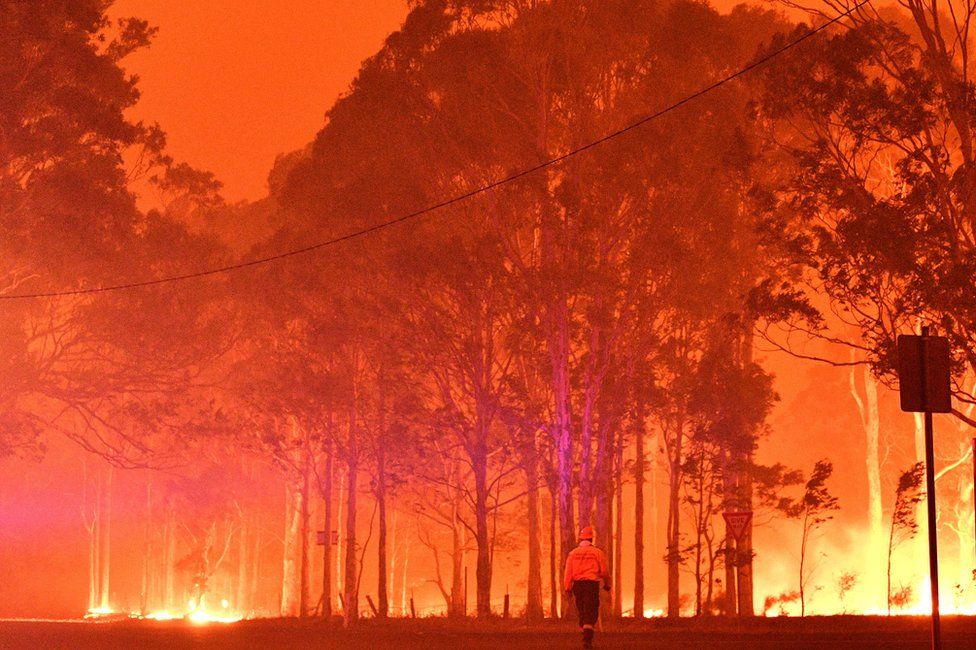 Австралія готується до нової хвилі лісових пожеж
