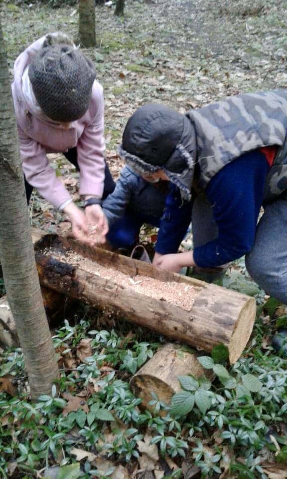 На Косівщині дітлахи з лісником наповнили кормом годівниці для диких тварин (ФОТО)