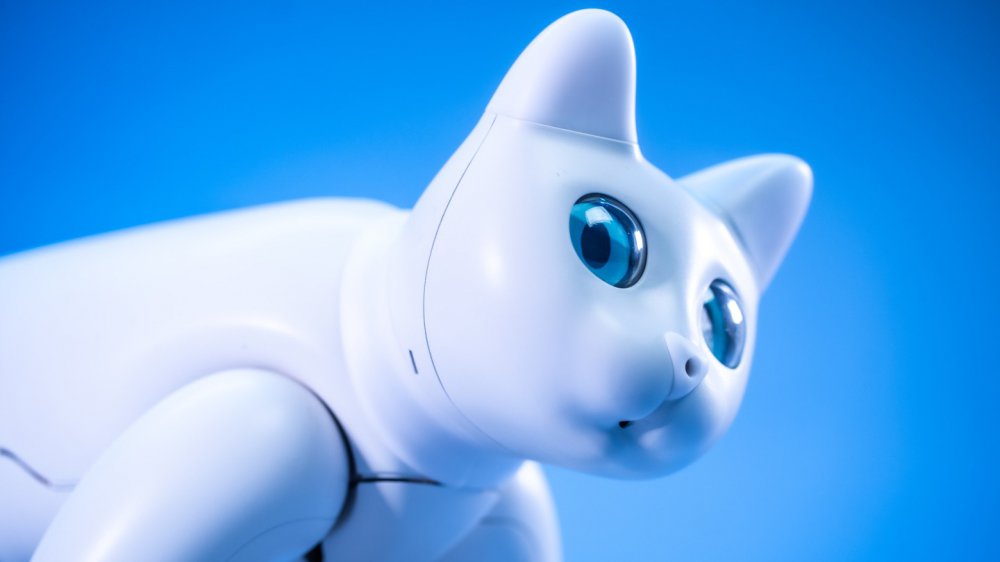 Проявляє емоції та реагує на команди: китайські винахідники створили кішку-робота (ФОТО, ВІДЕО)