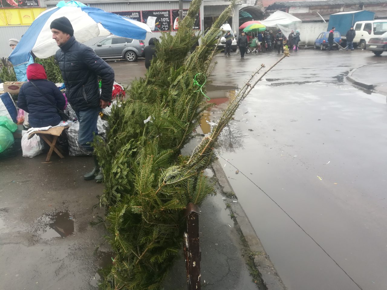 У Калуші жінка торгувала нелегальними ялинками