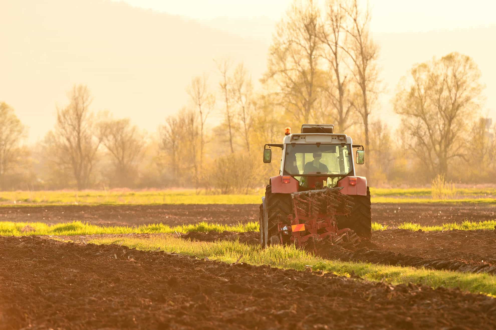 Німецькі фермери, котрі працюють на Прикарпатті, просять владу не обмежувати їх у купівлі землі