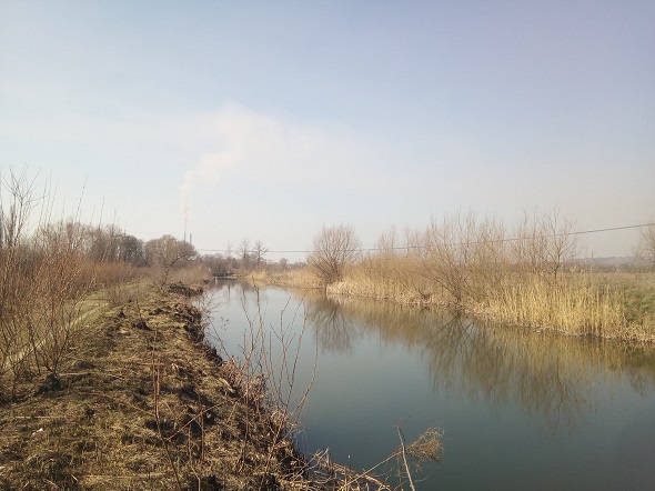 На річці у Галицькому районі виявили браконьєрські сітки з уловом (ФОТО)