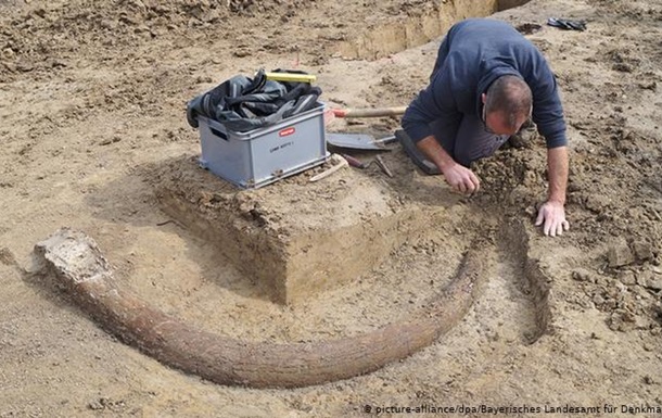 У Німеччині знайшли бивень мамонта завдовжки 2,5 метри