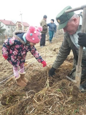 На Калущині на місці вирубленого лісу висаджують новий (ФОТО)