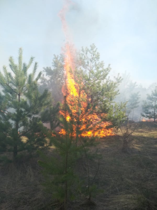 На Городенківщині горіла суха трава на площі 900 метрів квадратних (ФОТО)