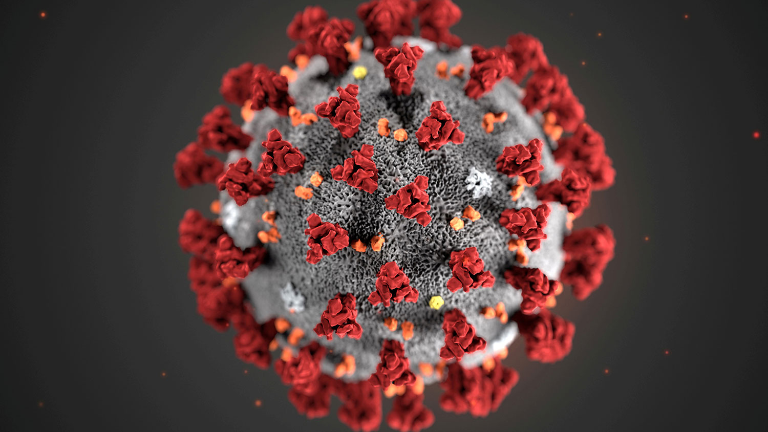 На Прикарпатті від коронавірусу померли 24 людини
