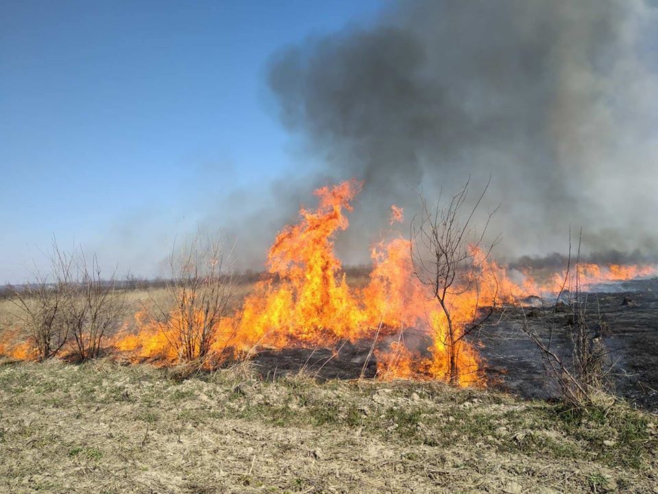 Понад пів сотні пожеж сухої трави ліквідували у неділю в області (ФОТО)