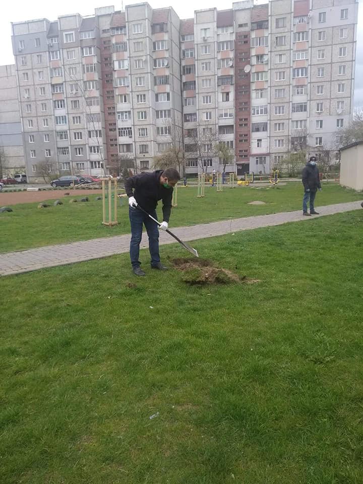 На Молодіжній висадили десятки дерев і кущів (ФОТО)