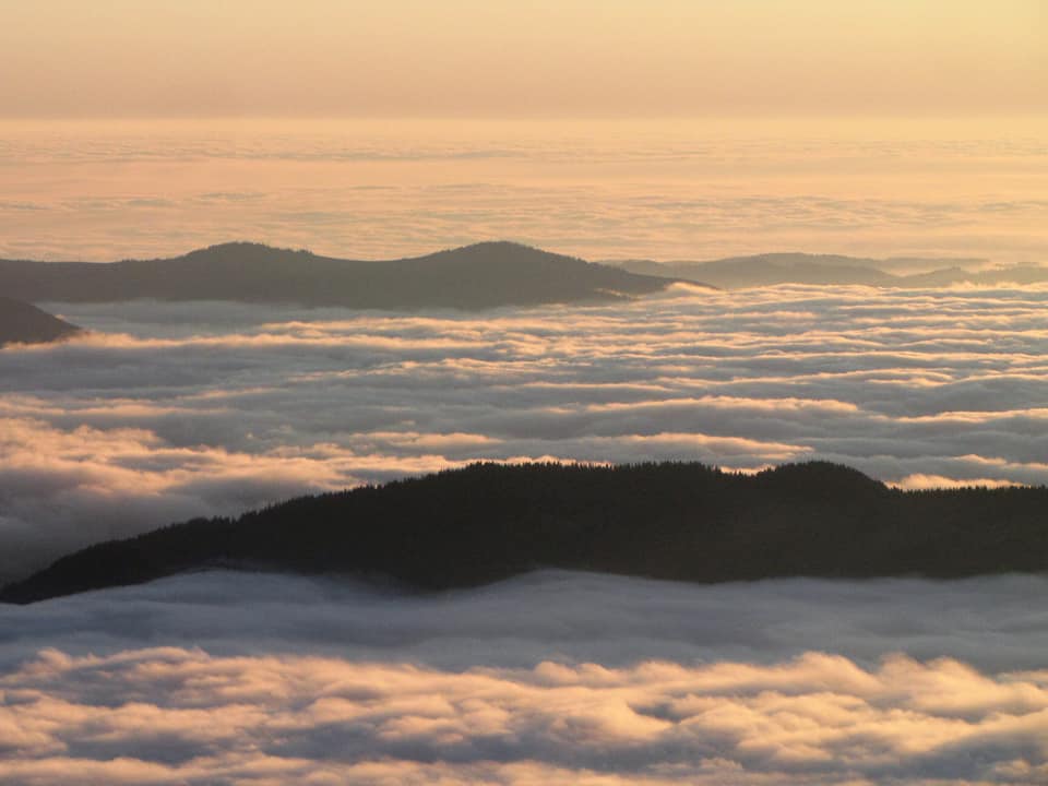 Гори поміж хмарами: у мережі поділилися ранковими світлинами карпатських краєвидів (ФОТО)