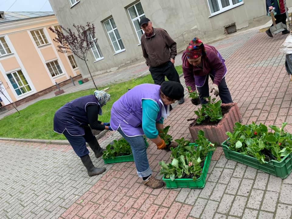 Біля двох франківських ліцеїв висадили квіти (ФОТО)