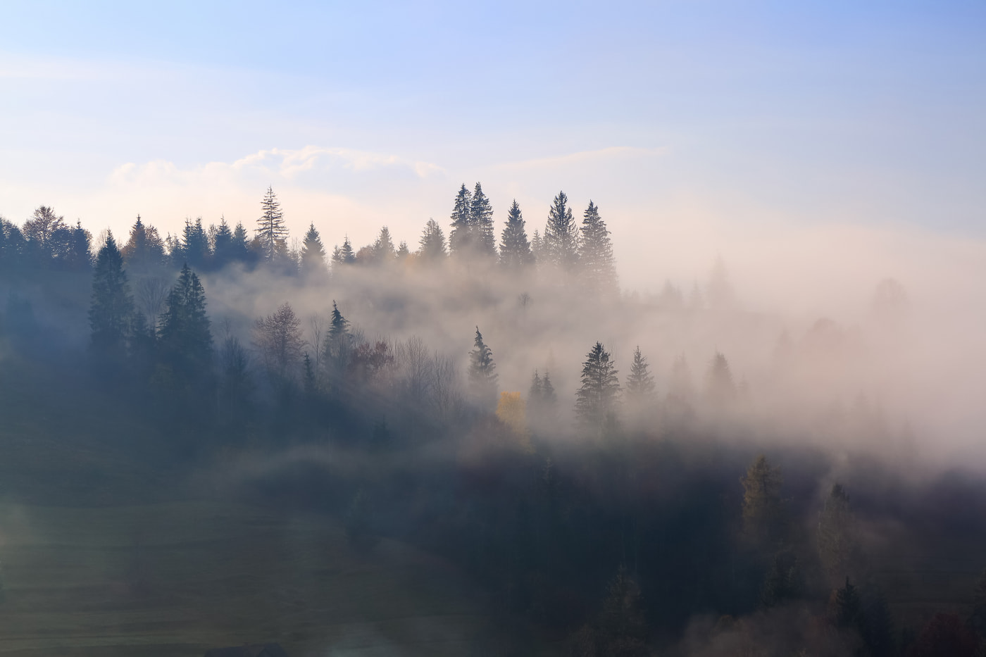 Фотограф показав неймовірні світлини туманних Карпат (ФОТО)
