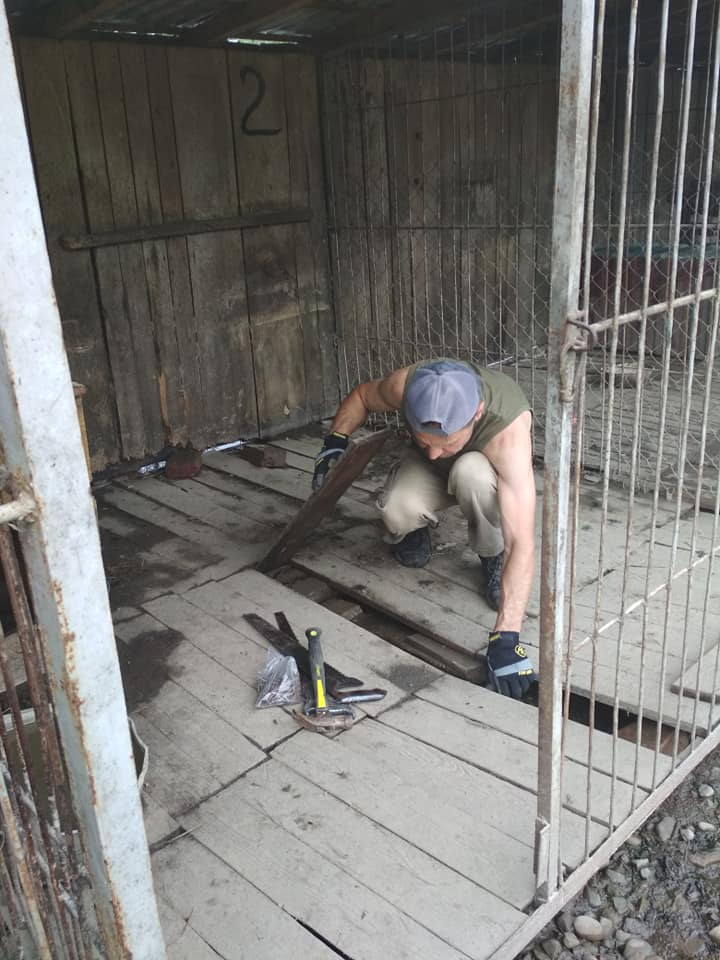 Небайдужі відновили затоплений притулок для тварин у Калуші (ФОТО, ВІДЕО)