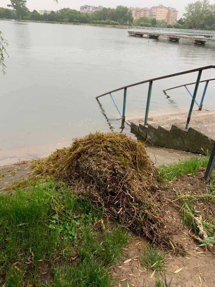 Як франківські комунальники чистять озера та канали від водоростей і сміття (ФОТО)