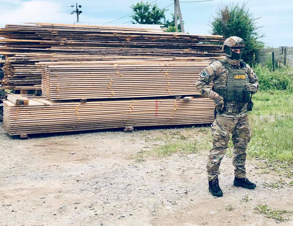 У лісгоспах області провели масові обшуки у справі про незаконну вирубку (ФОТО)