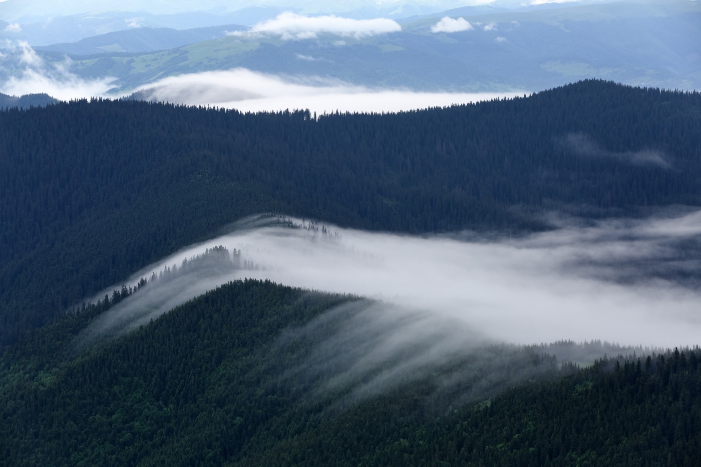 Магічні світлини Мармароських гір у хмарах показали в мережі (ФОТО)