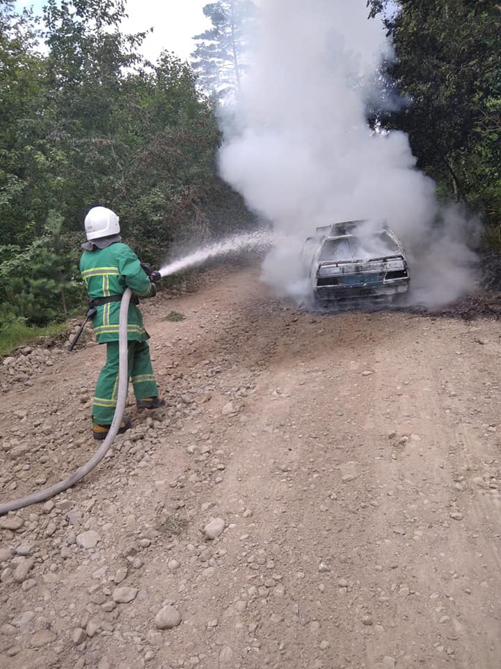 Минулої доби у двох районах Прикарпаття горіли автомобілі (ФОТОФАКТ)