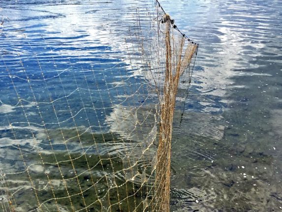 У міському озері знайшли велику браконьєрську сітку з рибою