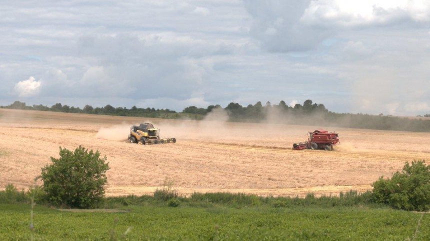 Аграрії Прикарпаття розпочали збір урожаю, але заважає дощова погода (ФОТО)