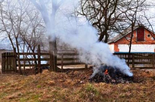 Замість штрафу – добриво: франківців закликають не палити сухе листя