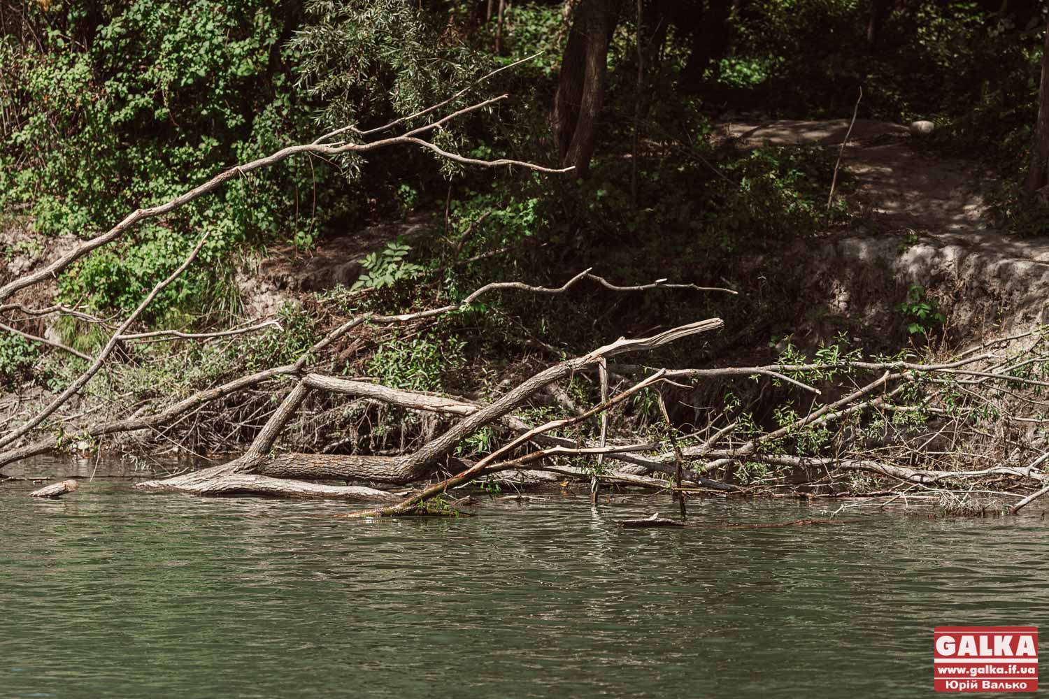Фахівці назвали три найчистіші та одну найбруднішу річку Прикарпаття 