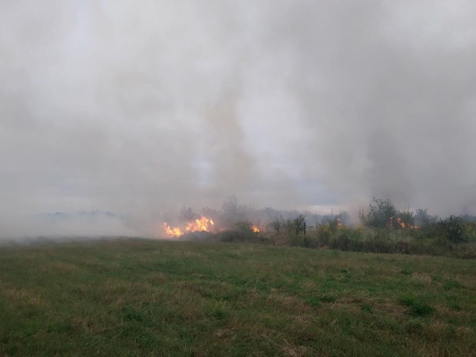 На Богородчанщині невідомий підпалив траву: палало на півтора гектарах (ФОТО)