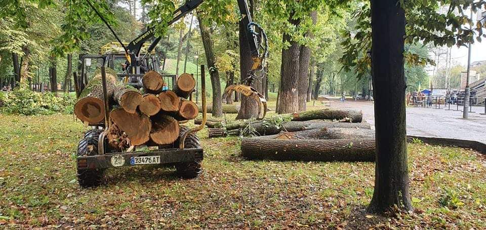 Повалені негодою дерева з міського парку використають для благоустрою території (ФОТО)