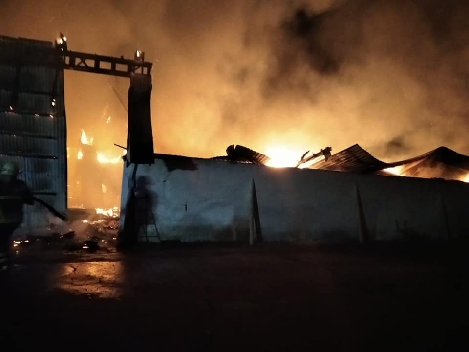 Масштабна пожежа у Коломийському районі: згоріли понад 300 тонн соняшника та сої (ФОТО, ВІДЕО)