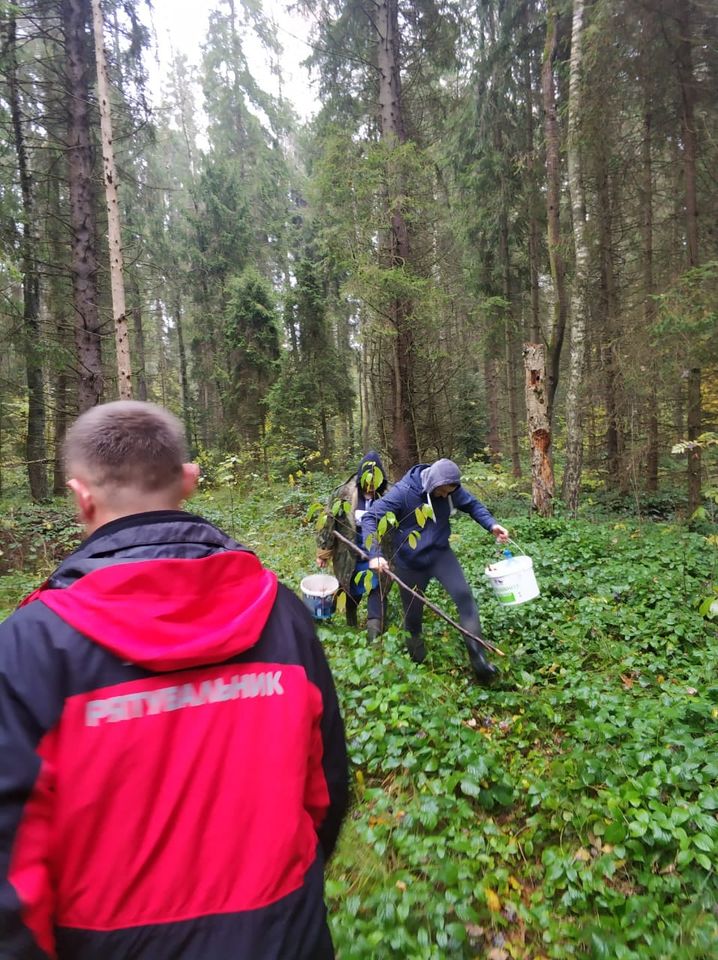 У лісі на Тисмениччині заблукало подружжя з Франківська (ФОТО)