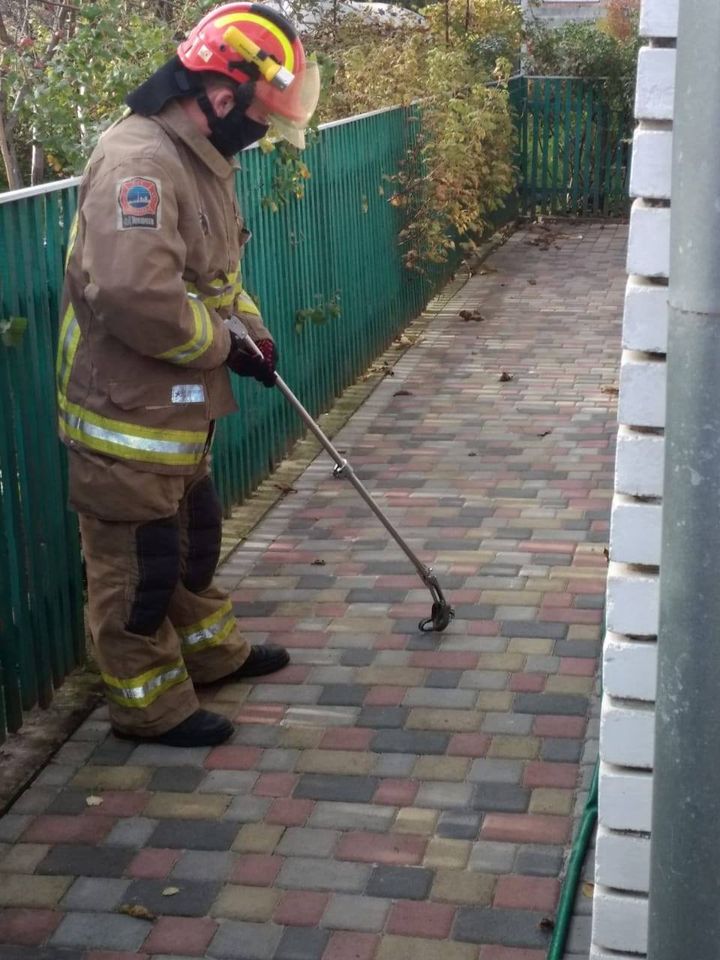 У Калуші на подвір’ї рятувальники зловили змію (ФОТО)