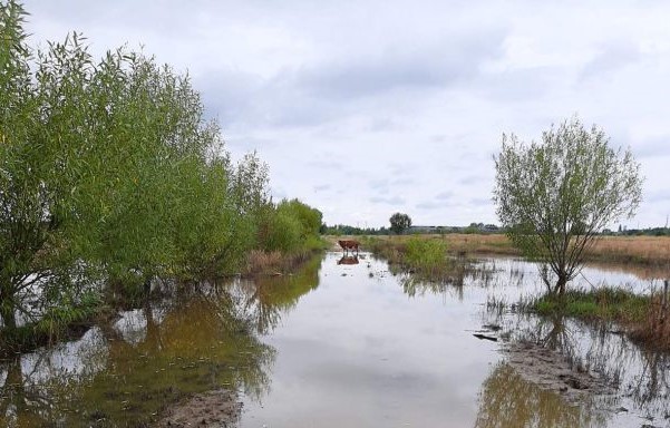 Біля Калуша “просіли” земельні ділянки: провалля за 300 метрів від будинків (ФОТО)