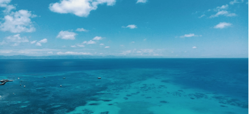 В Австралії виявили відокремлений кораловий риф висотою 500 метрів (ВІДЕО)