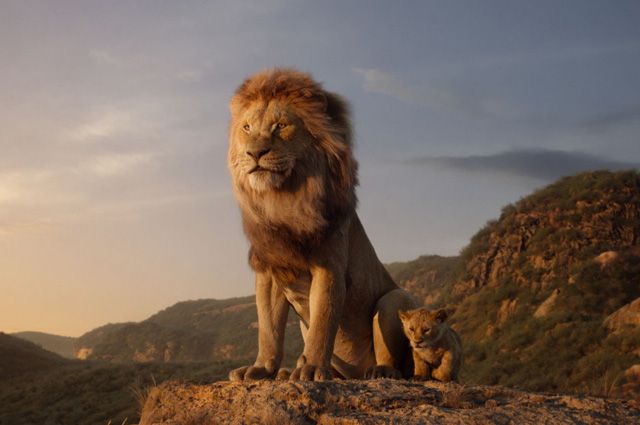 Disney вже працює над продовженням фільму «Король лев»