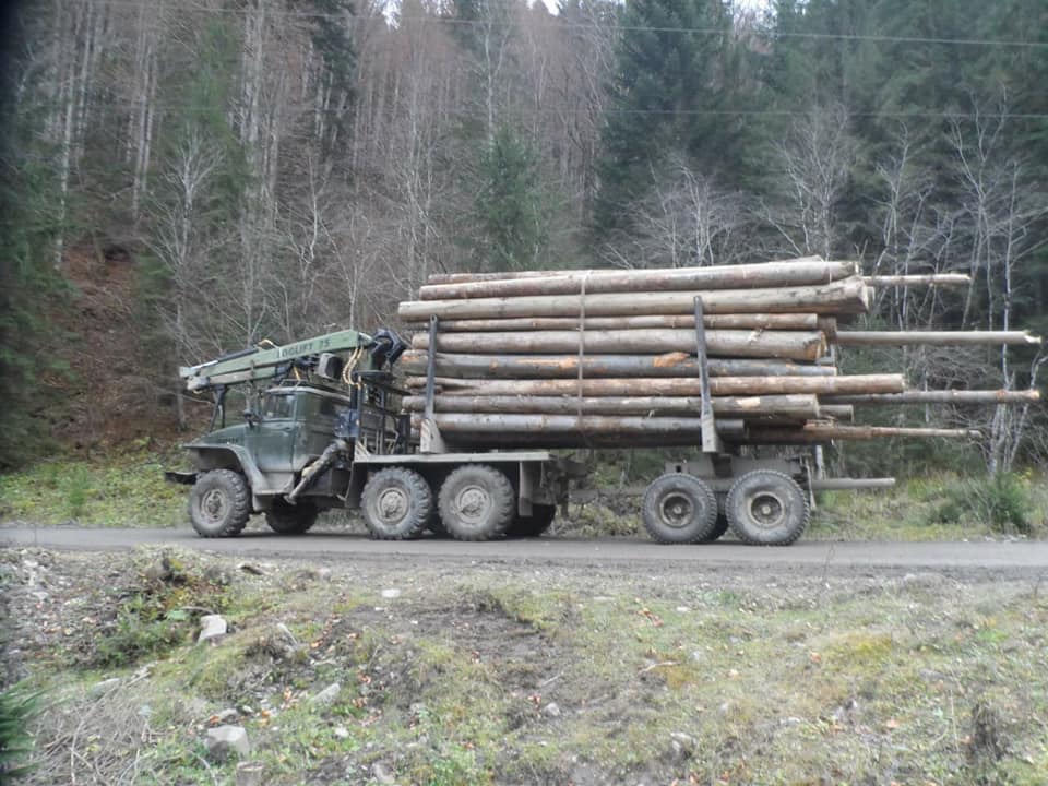 На Верховинщині затримали вантажівку з лісом. Прикарпатцю загрожує до трьох років тюрми (ФОТО)