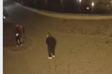 Двоє ламали, двоє дивилися: шукають вандалів, котрі понищили скульптуру у парку Шевченка (ВІДЕО)