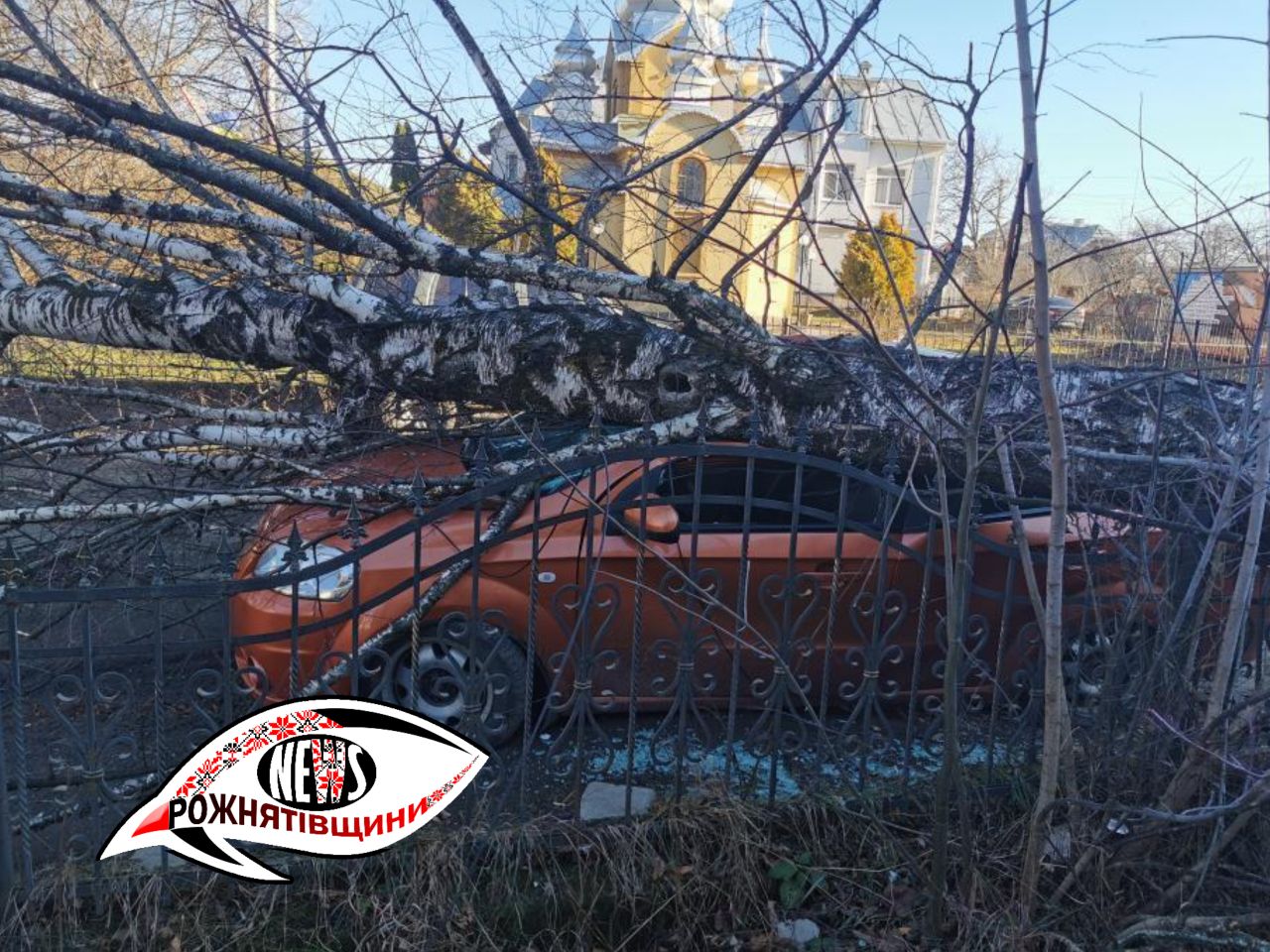 На Богородчанщині дерево впало на магазин, а у Перегінську – на авто (ФОТО)